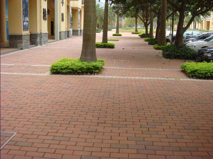 ����u����չʾ